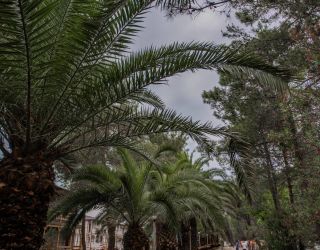 Отель "Золотые пески" (бывш. "Кудры")