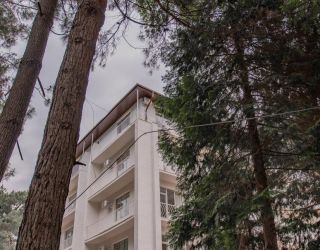 Отель "Золотые пески" (бывш. "Кудры")