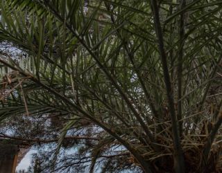 Отель "Золотые пески" (бывш. "Кудры")