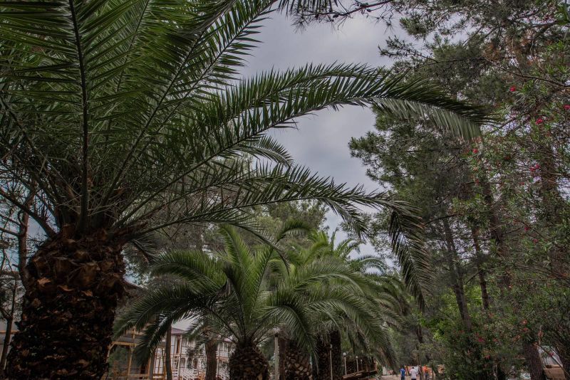 Отель "Золотые пески" (бывш. "Кудры")