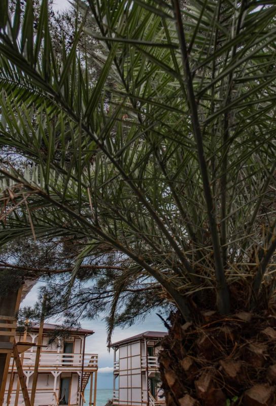 Отель "Золотые пески" (бывш. "Кудры")